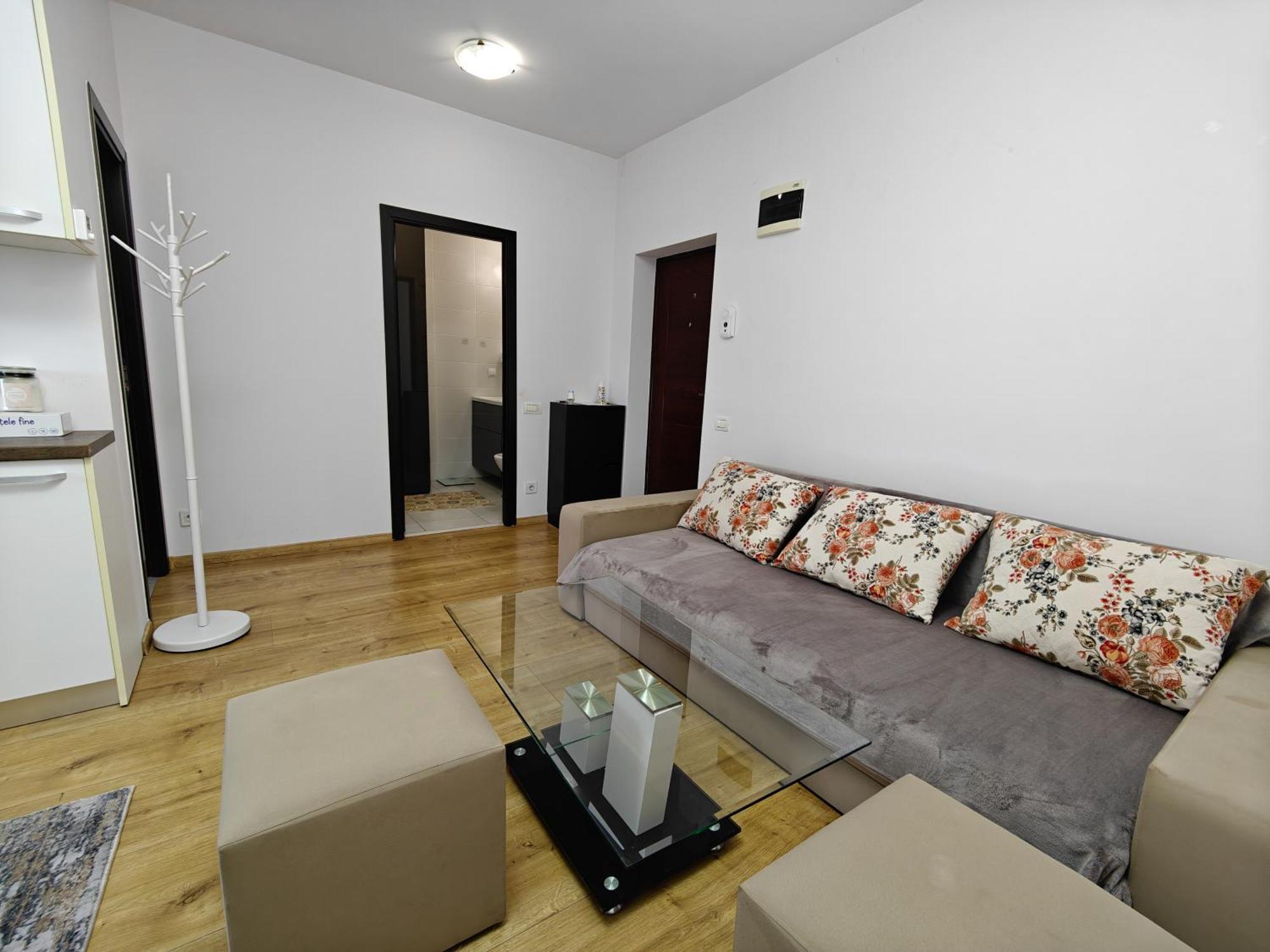 Park Lake Near Iulius Mall, Wi-Fi, Walk-In Showe Cluj-Napoca Exterior foto